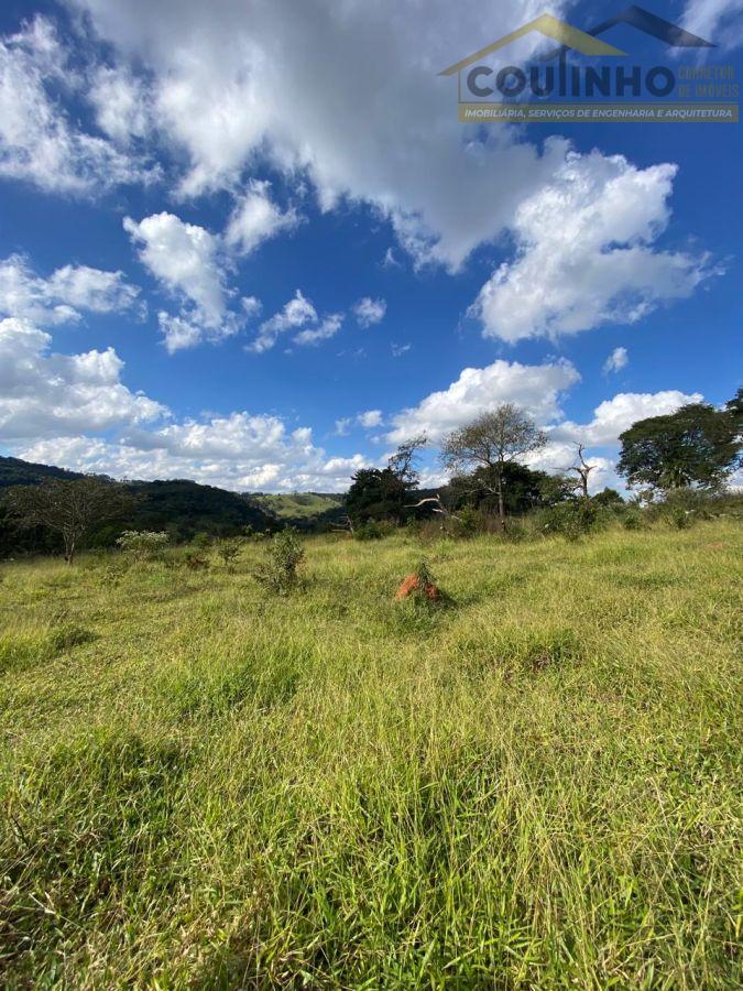 WhatsApp Image 2025-06-11 at 15.41.46 (1).jpeg